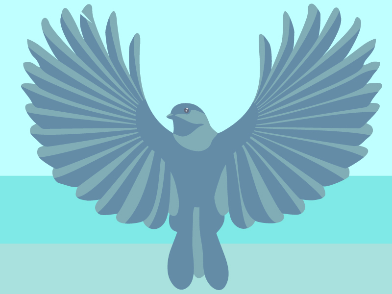 bird-blue-sea.jpg